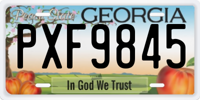 GA license plate PXF9845