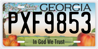 GA license plate PXF9853