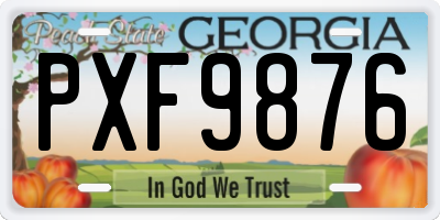 GA license plate PXF9876