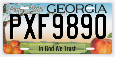 GA license plate PXF9890