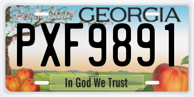 GA license plate PXF9891
