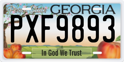 GA license plate PXF9893