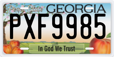 GA license plate PXF9985