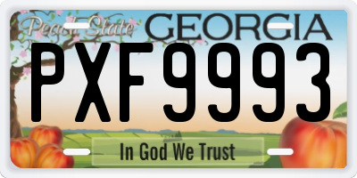 GA license plate PXF9993