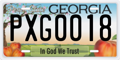 GA license plate PXG0018