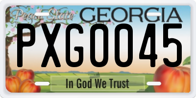 GA license plate PXG0045