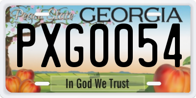 GA license plate PXG0054