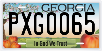 GA license plate PXG0065