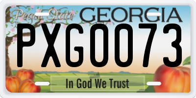 GA license plate PXG0073