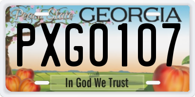 GA license plate PXG0107