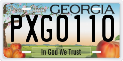 GA license plate PXG0110