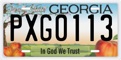 GA license plate PXG0113
