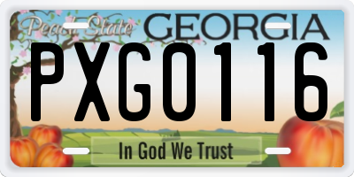 GA license plate PXG0116