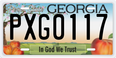 GA license plate PXG0117
