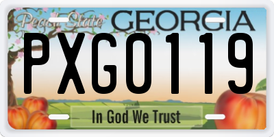 GA license plate PXG0119