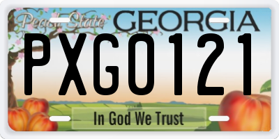 GA license plate PXG0121