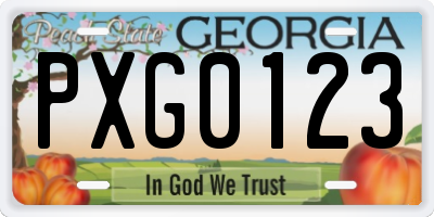 GA license plate PXG0123