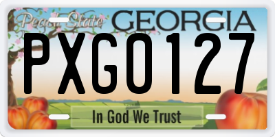 GA license plate PXG0127