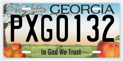 GA license plate PXG0132