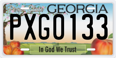 GA license plate PXG0133