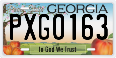 GA license plate PXG0163