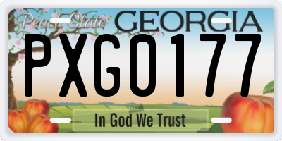 GA license plate PXG0177