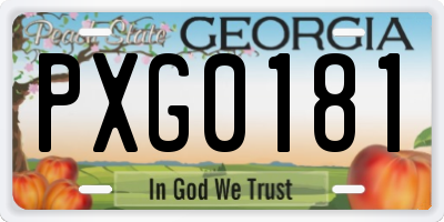 GA license plate PXG0181