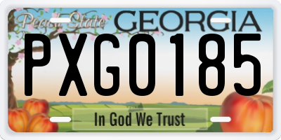 GA license plate PXG0185