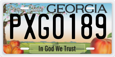 GA license plate PXG0189