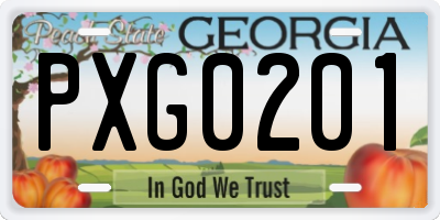GA license plate PXG0201