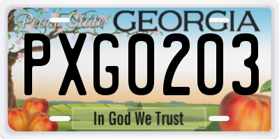 GA license plate PXG0203