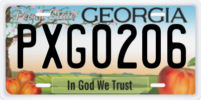 GA license plate PXG0206