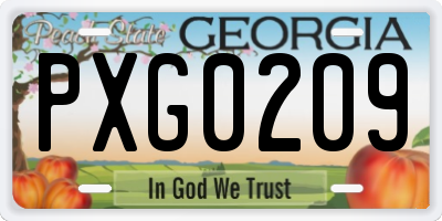 GA license plate PXG0209
