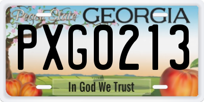 GA license plate PXG0213