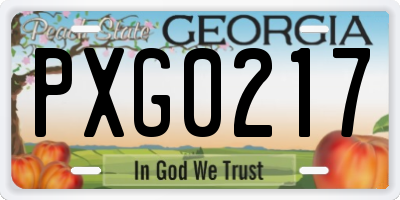 GA license plate PXG0217