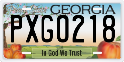 GA license plate PXG0218