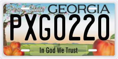 GA license plate PXG0220