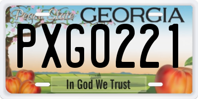 GA license plate PXG0221