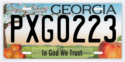 GA license plate PXG0223
