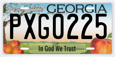 GA license plate PXG0225