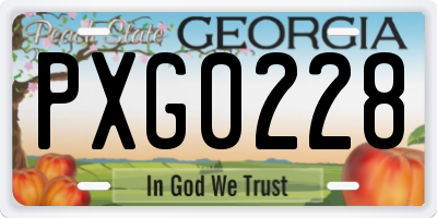 GA license plate PXG0228