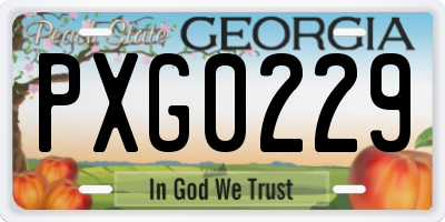 GA license plate PXG0229
