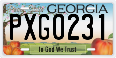 GA license plate PXG0231