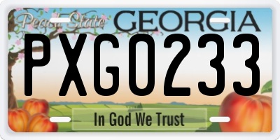 GA license plate PXG0233