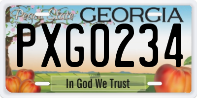 GA license plate PXG0234