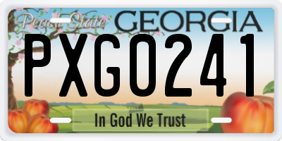 GA license plate PXG0241