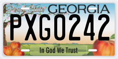 GA license plate PXG0242