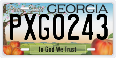 GA license plate PXG0243