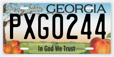 GA license plate PXG0244