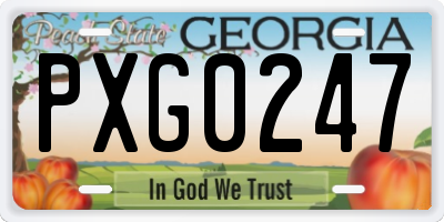 GA license plate PXG0247